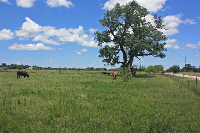 1073 County Road 327, 20548763, Glen Rose, Unimproved Land,  for sale, Ryan Foster, Pinnacle Realty Advisors LLC